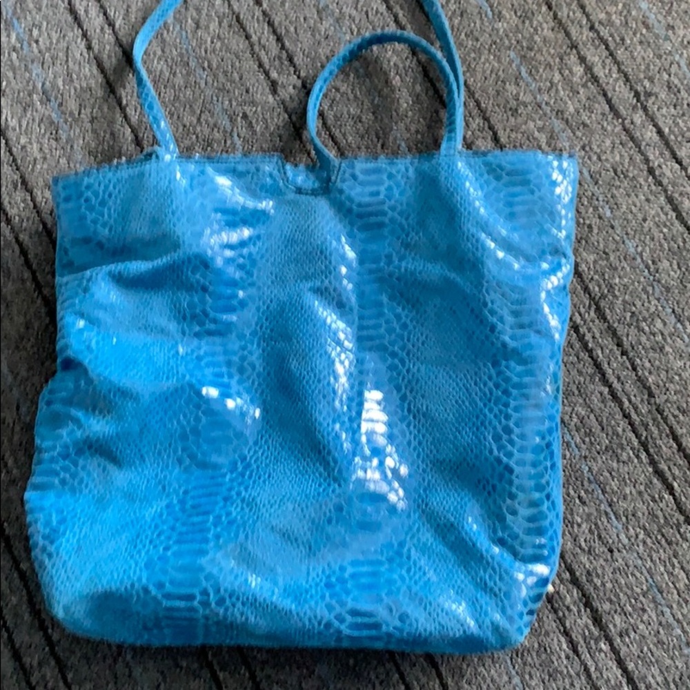Carlos Falchi bag